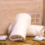 호텔 Vegov Hram