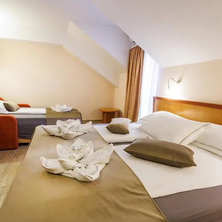 Vegov Hram Hotel 3*