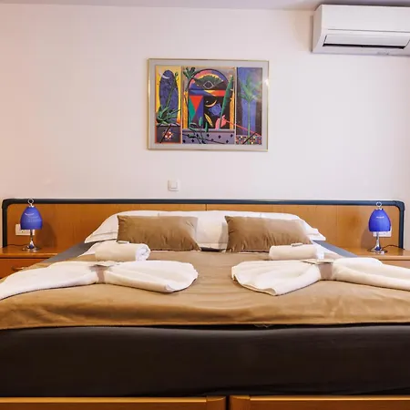 Vegov Hram Hotel 3*